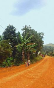 Dschang, Camerun - ISM